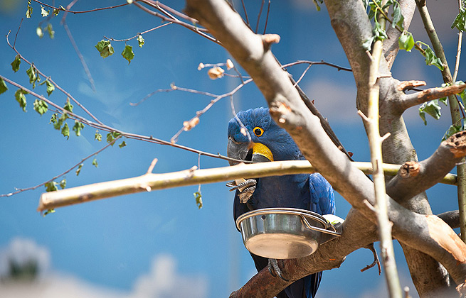 激活平台正规的网络手机号免费版