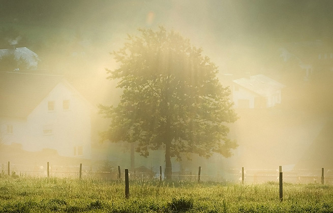 短信轰炸业务网