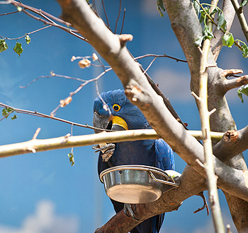 稳定不封的云呼死你网页版