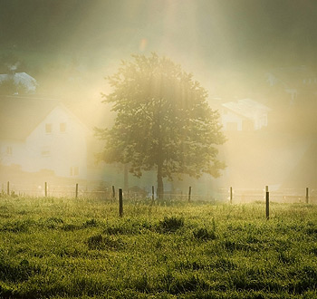 稳定货源供应的网络手机号免费版