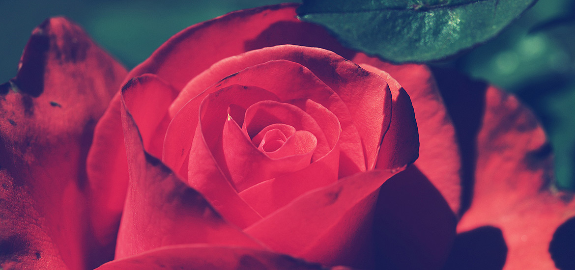 【微软商店】正版的短信测压在线